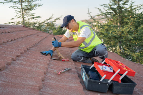 Best Gutter Installation and Repair  in USA